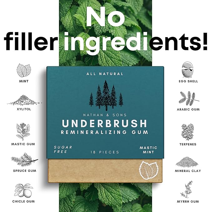 UnderBrush Mastic Mint Chewing Gum – Sugar-Free Xylitol Gum with Hydroxyapatite – No Gluten, Sugar, Aspartame and Sucralose - Tree Sap Chewing Base – 2 Pack