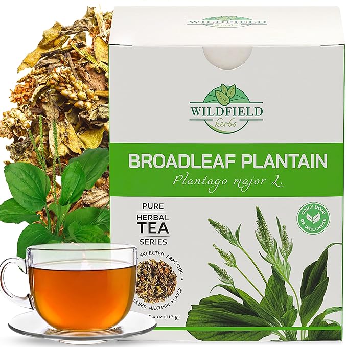 4 oz. Plantain Leaf Herb Tea Dried Plaintains (Plantago Major) - 113 g Greater Broadleaf Plantain Leaf Tea Llanten