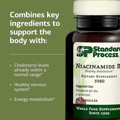Standard Process Inc. Niacinamide B6 - Whole Food Energy, Metabolism and Nervous System Supplements with Soy Protein, Vitamin B6, Ascorbic Acid, Calcium Lactate, and Niacinamide - 90 Capsules