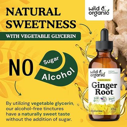 Wild & Organic Ginger Root Extract Drops - Immune & Digestive Support - Liquid Ginger Supplements - Vegan, Sugar & Alcohol-Free Tincture - 4 fl oz