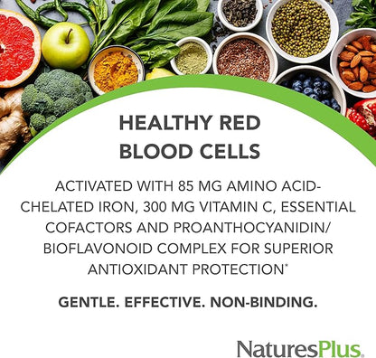 Natures Plus Hema-Plex Iron - 10 Slow-Release Tablets - 85 mg Chelated Iron - Total Blood Health - with Vitamin C & Bioflavonoids - Vegan, Gluten Free - 10 Servings