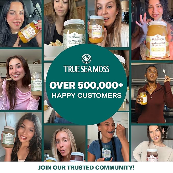 TrueSeaMoss Sea Moss Gel – Made in USA – Wildcrafted Seamoss, Dried Seaweed & Sea Vegetables – Original, Pack of 3 (Labels may Vary)
