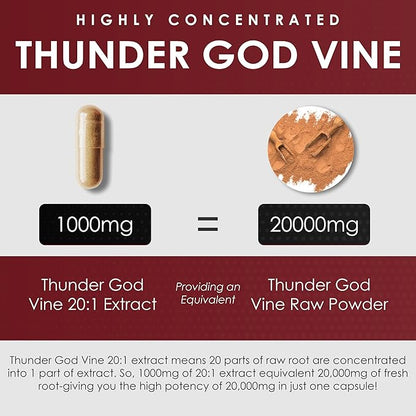 AMALTH Thunder God Vine Root – Tripterygium Wilfordii Herbal Supplement – Capsules with Lei Gong Teng Extract with Triptolide – 120 Capsules