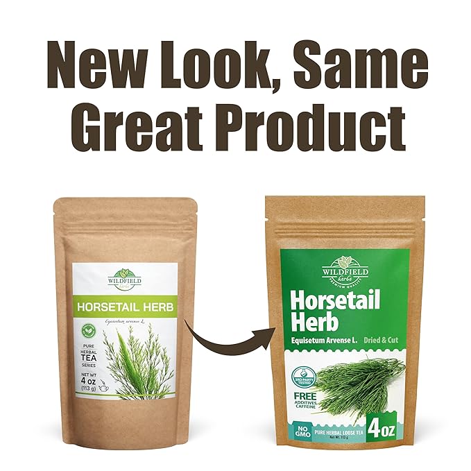 4 oz. Horsetail Herb Horsetail Tea Cola De Caballo Hierba Horse Tail (Equisetum Arvense) - 113g Herb Tea Horse Tail