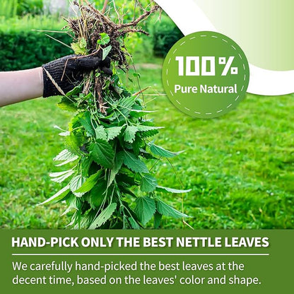 Stinging Nettle Leaf Tea Bags - 60bags Pure & Natural Nettle Leaf Herbal Tea, Caffeine Free, No Additives, No Sugar, Non-Gmo, No Gluten