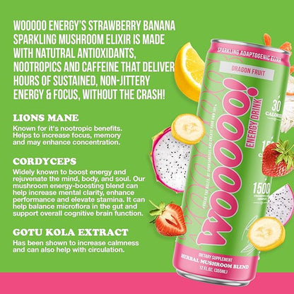 Wooooo! Energy Ric Flair Sparkling Adaptogenic Mushroom Energy Drink | Natural Antioxidants & Nootropics | Lion’s Mane & Cordyceps | 150mg Caffeine | 12 Pack (Dragon Fruit)