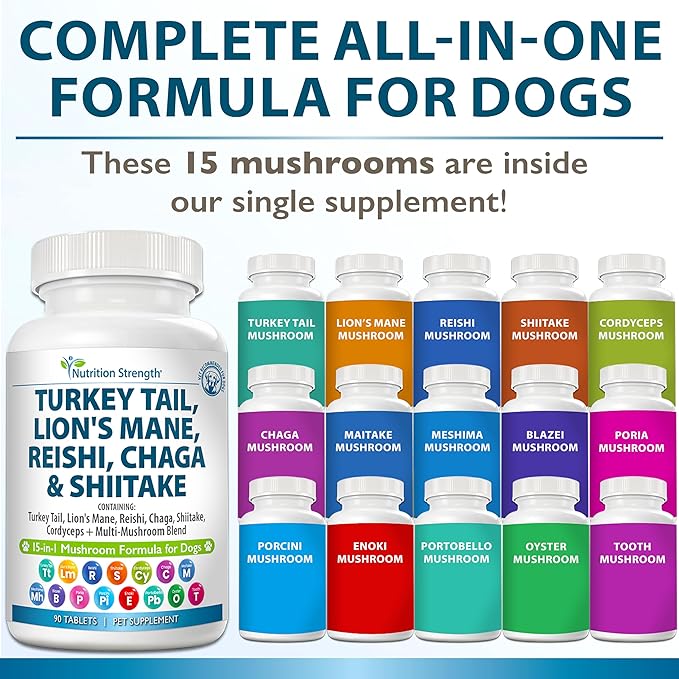 15-in-1 Mushrooms for Dogs Turkey Tail 600mg Lion's Mane 600mg Reishi 600mg Shiitake 500mg Cordyceps 300mg Chaga 300mg Maitake 200mg Meshima Blazei Poria Enoki Portobello 90 Tablets