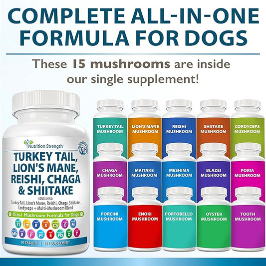 15-in-1 Mushrooms for Dogs Turkey Tail 600mg Lion's Mane 600mg Reishi 600mg Shiitake 500mg Cordyceps 300mg Chaga 300mg Maitake 200mg Meshima Blazei Poria Enoki Portobello 90 Tablets