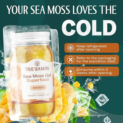 TrueSeaMoss Sea Moss Gel – Made in USA – Wildcrafted Seamoss, Fresh Fruits & Sea Vegetables – Mango, Pack of 2 (Labels May Vary)