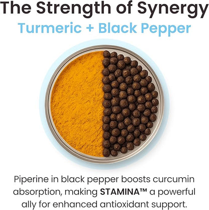 Stamina Antioxidant & Stress Relief Supplement | for Enhanced Mood, Boost Energy, Immune & Sleep Support | Vitamin B12 & B6, Ashwagandha, Turmeric, 5-HTP & More | Non-GMO, 60 Capsules