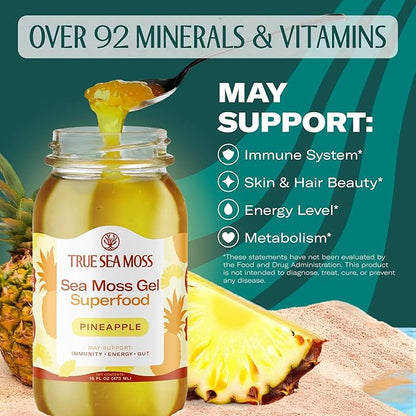 TrueSeaMoss Sea Moss Gel – Made in USA – Wildcrafted Seamoss, Fresh Fruits & Sea Vegetables – Pineapple, Pack of 3 (Labels may Vary)