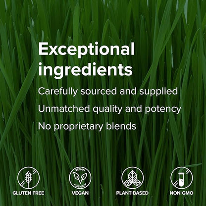 Vibrant Health, Maximum Vibrance, Complete Vegan Meal Shake with Plant-Based Protein, Vanilla Bean, 15 Servings