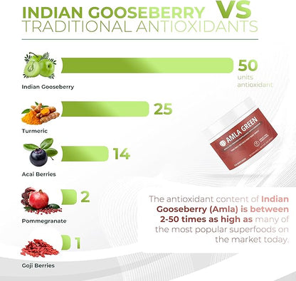 Amla Powder & Green Tea Superfood Supplement with Hibiscus, 20x Ultra Concentrated Amla, Antioxidant Support, Made with Oolong Tea and Indian Gooseberries, Organic, Vegan, Hibiscus, 30 Servings