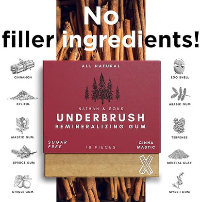 UnderBrush Cinna-Mastic Chewing Gum – Sugar-Free Xylitol Gum with Hydroxyapatite – No Gluten, Sugar, Aspartame and Sucralose - Tree Sap Chewing Base – 2 Pack