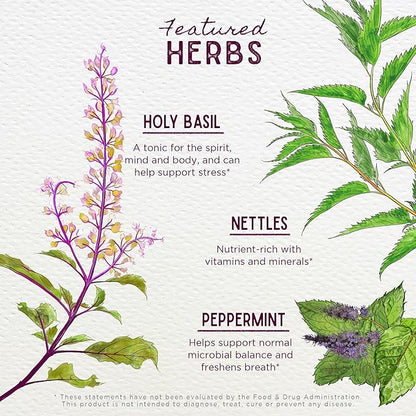 WishGarden Herbs Chlorophyll & Friends - Chlorophyll Liquid Drops with Nettle Leaf, Holy Basil, Moringa Leaf & Peppermint Leaf, Supports Increased Energy, Healthy Immune, & Stress Response, 2oz