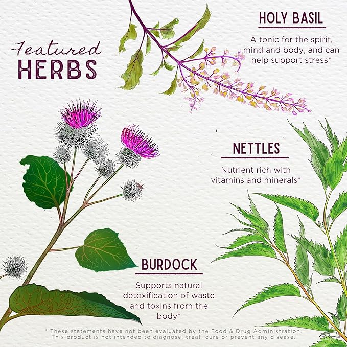 WishGarden Herbs Cycle Changes Herbal Menopause Support - Plant-Based Supplement w/Black Cohosh, Wild Yam & Vitex Supports Hormone Balance for Women in Transition from Perimenopause to Menopause, 2oz