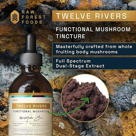 Twelve Rivers Functional Mushroom MycoMedic Elixir Tincture – 1:2 True Dual-Stage Extraction – Spiced Winter Chai – 4 Fluid Ounce Bottle