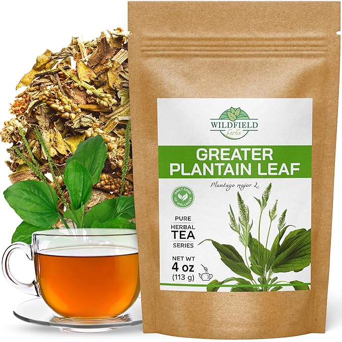 4 oz. Broadleaf Plantain Leaf Herb Tea Dried Plaintains Leaves (Plantago Majoris Folia) - 113g Greater Plantain Leaf Tea Llanten