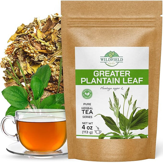 4 oz. Broadleaf Plantain Leaf Herb Tea Dried Plaintains Leaves (Plantago Majoris Folia) - 113g Greater Plantain Leaf Tea Llanten