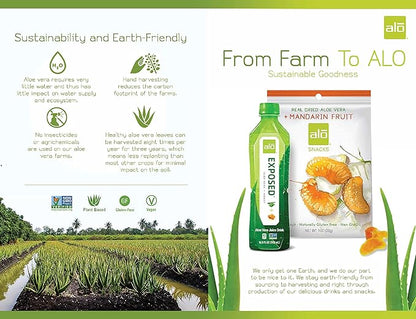 ALO Aloe Vera Juice Drink | BLUE - Aloe Vera + Blueberry | 16.9 fl oz, Pack of 12 | Plant-Based Drink with Real Aloe Pulp