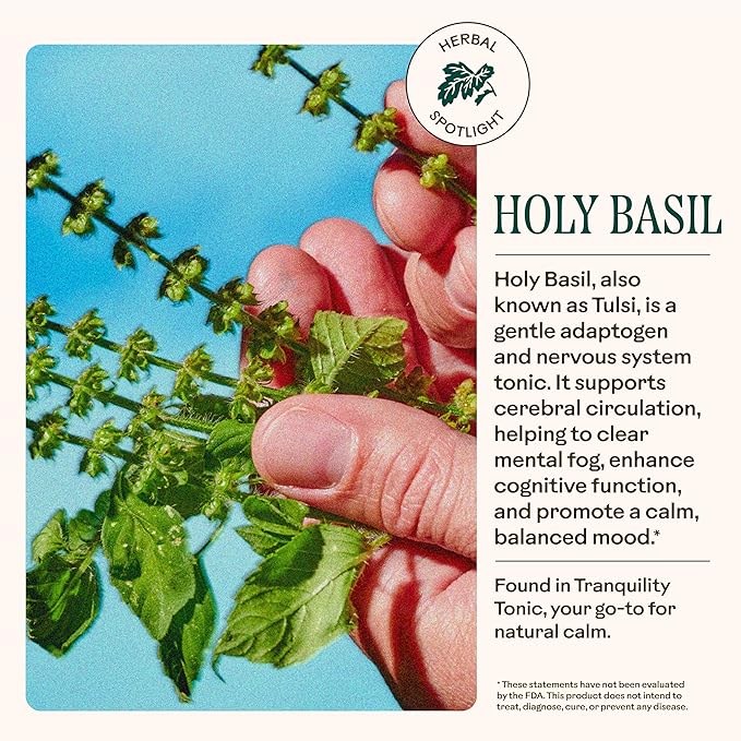 Wooden Spoon Herbs Tranquility Tonic | Organic Stress Relief & Sleep Aid Tincture | Unique Herbal Blend of Skullcap, Ashwagandha, Oat Tops, Holy Basil, Lavender | 2oz, 32 Servings
