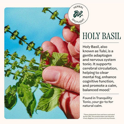 Wooden Spoon Herbs Tranquility Tonic | Organic Stress Relief & Sleep Aid Tincture | Unique Herbal Blend of Skullcap, Ashwagandha, Oat Tops, Holy Basil, Lavender | 2oz, 32 Servings