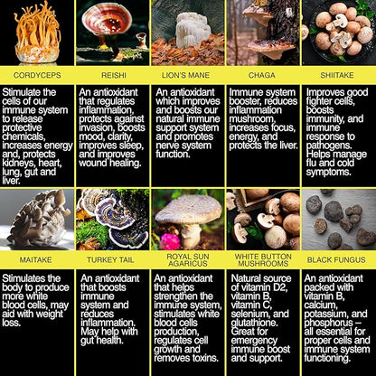 THE ENCLARE NUTRITION Mushroom Supplement 10in1 Complex Immune Support Lions Mane, Reishi, Turkey Tail, Cordyceps, Chaga, Maitake, Shiitake, Agaricus: Nootropic Brain, Energy Booster (1)