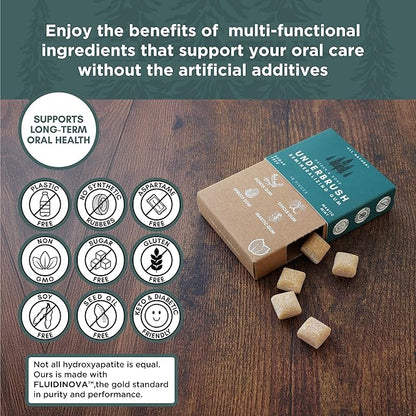 UnderBrush Mastic Mint Chewing Gum – Sugar-Free Xylitol Gum with Hydroxyapatite – No Gluten, Sugar, Aspartame and Sucralose - Tree Sap Chewing Base – 4 Pack